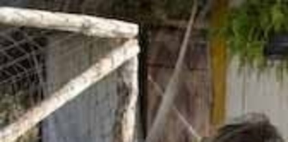 10858_206996598318_202218133318_4154810_6561958_n_001