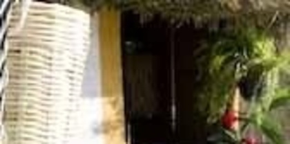 10858_206996598318_202218133318_4154810_6561958_n_003