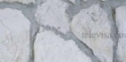 10858_206996618318_202218133318_4154814_6230801_n_001