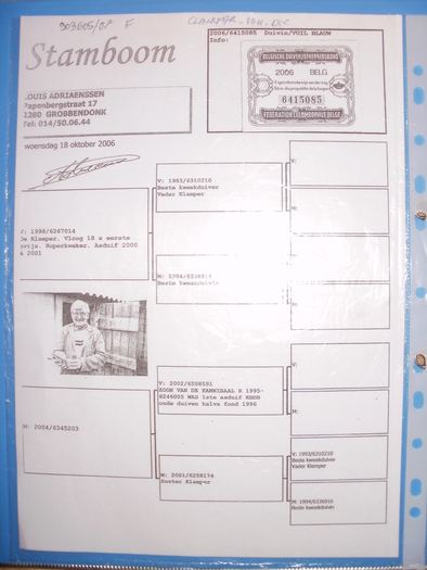 P1010464 - Pedigree-urile porumbeilor mei si parintilor acestora