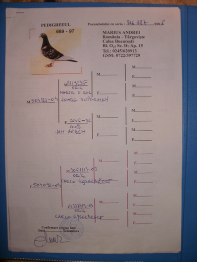 P1010471 - Pedigree-urile porumbeilor mei si parintilor acestora