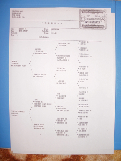 P1010479 - Pedigree-urile porumbeilor mei si parintilor acestora