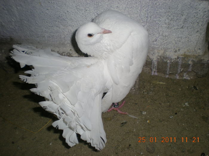 DSCN2945