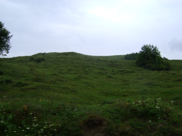 DEALURILE SECARIEI 1 - VALEA DOFTANEI