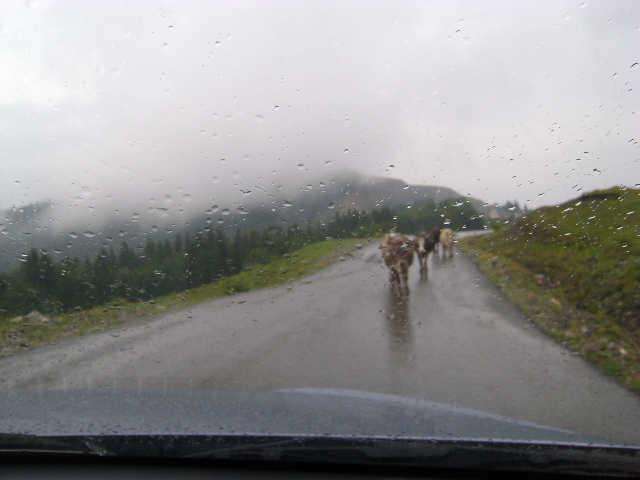 PIETOANE - VALEA DOFTANEI