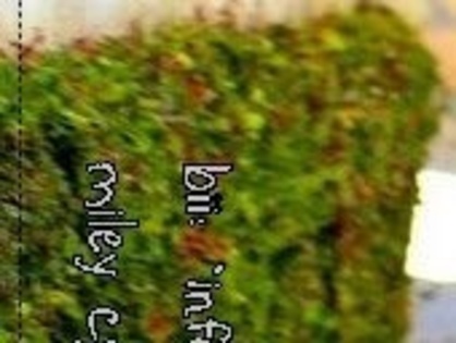 4-glitery_pl-JuStInEkkxPP-0-2803_007