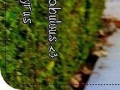 4-glitery_pl-JuStInEkkxPP-0-2803_010