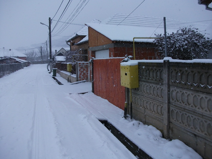  - CASA SI GRADINA CU FLORI