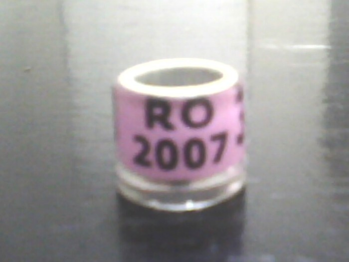 RO-2007 - UCPR - inele