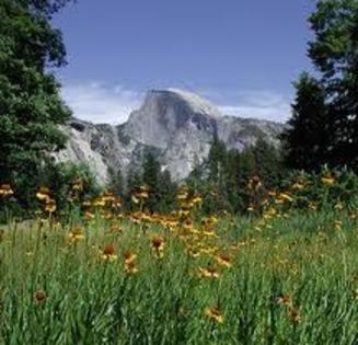 yosemite-spring - Yosemite