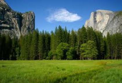 yosemite-summer - Yosemite