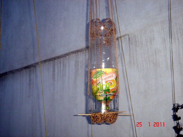 hranitor pasari - 2011 ianuarie
