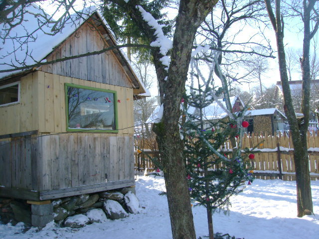 provizorat pt un craciun