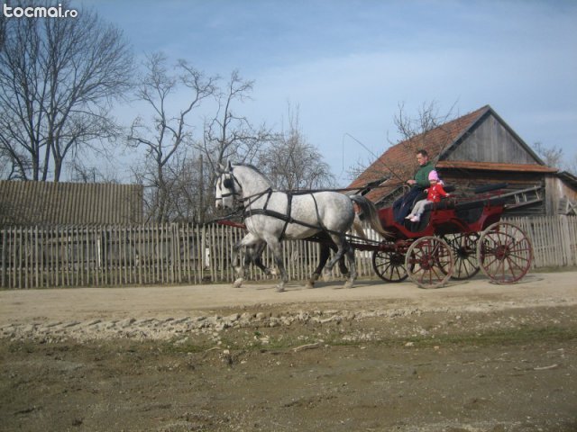 de vanzare -www.tocmai.ro - citeva poze