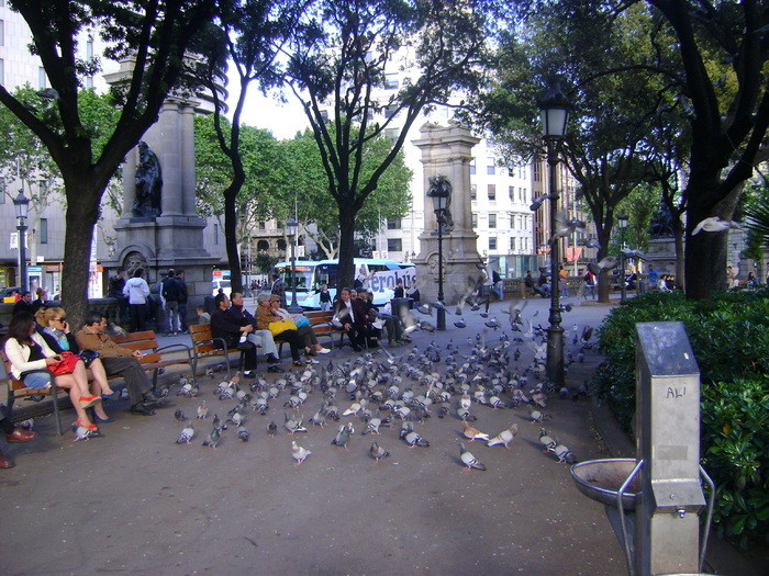 SPANIA 2010 - porumbei voiajori