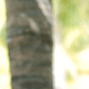 Ninel-Conde-Verano2010-435_003