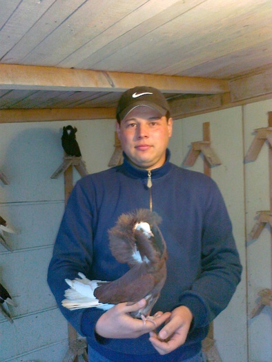  - gulerati2011