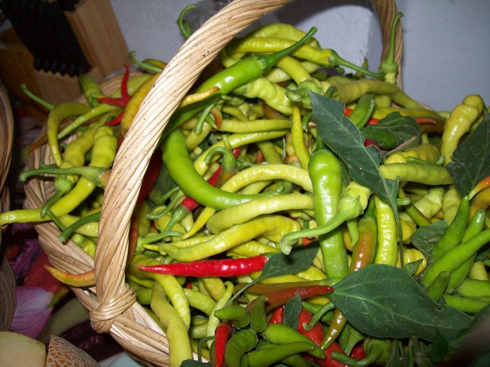 ardei bulgaresc - Micul meu paradis