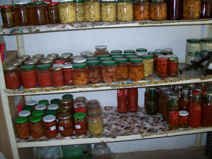 camara - Micul meu paradis