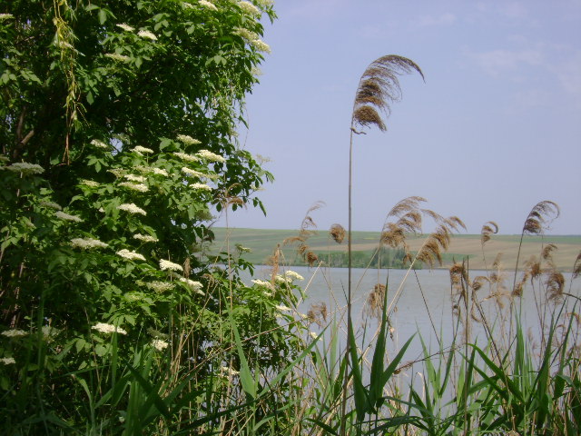 DSC02173 - la pescuit pe hanesti