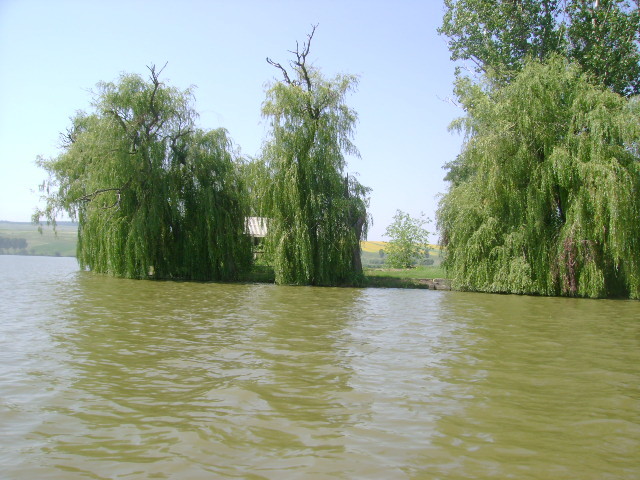 insula hanesti - la pescuit pe hanesti