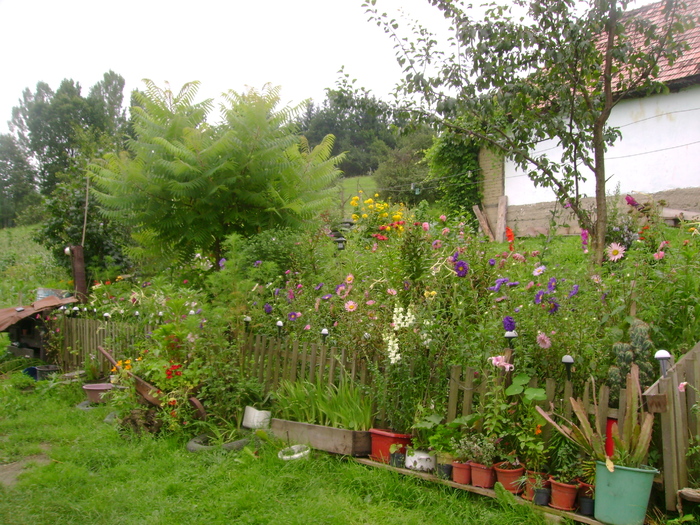 un strop de culoare pe un deal