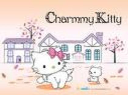 charmmy12 - charmmy kitty