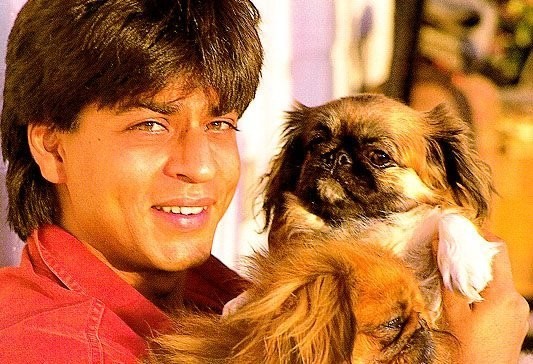 shahrukh_khan_family_18 - XxxSHAHRUKH KHANxxX