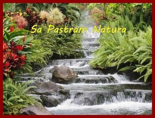 sa pastram natura