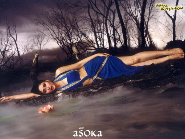 Asoka_1239550284_0_2001