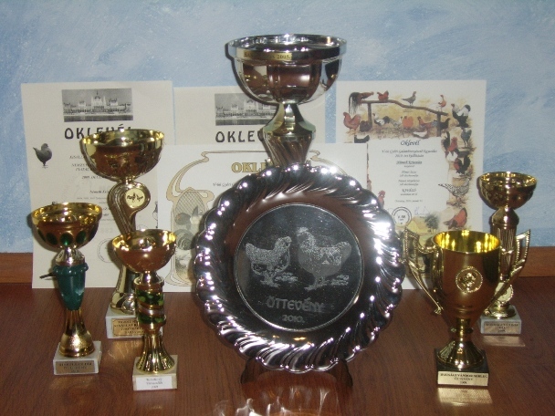 2007-2010 - Premii