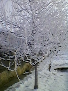SPM_A0012 - peisaj iarna