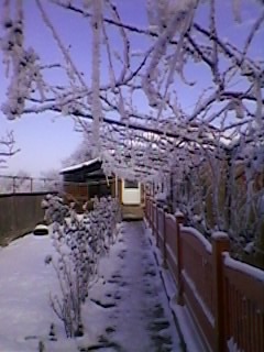 SPM_A0015 - peisaj iarna