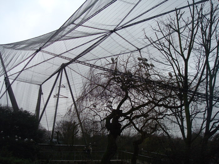 zoo Londra (55)