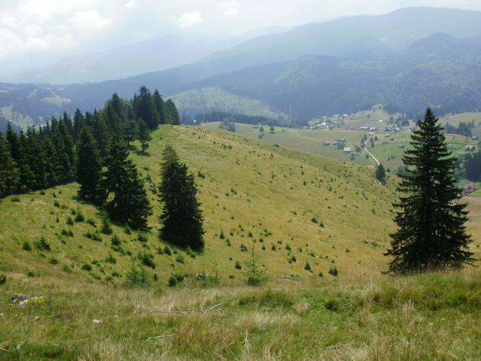 P6140489 - Peisaj