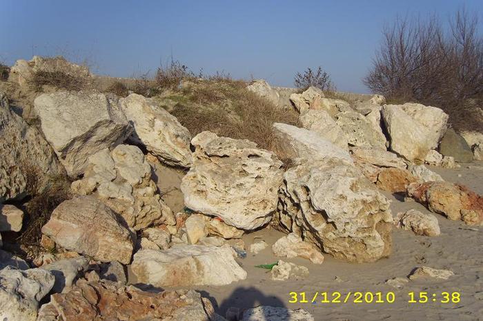 DSCI0553