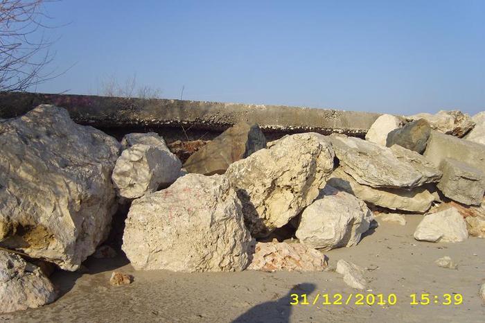 DSCI0560