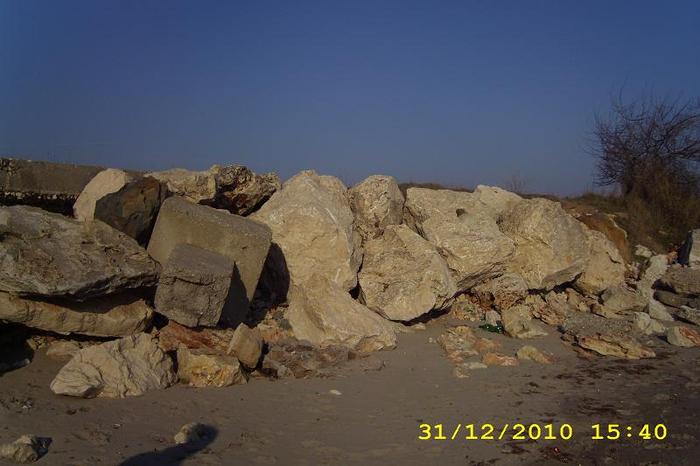 DSCI0561
