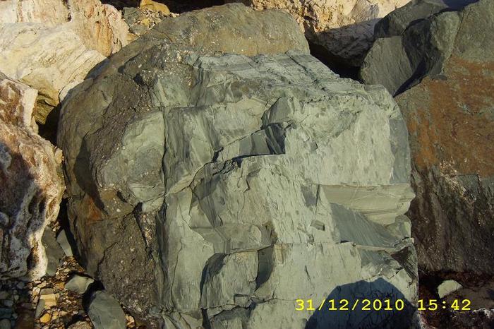 DSCI0572