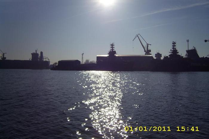 DSCI0631
