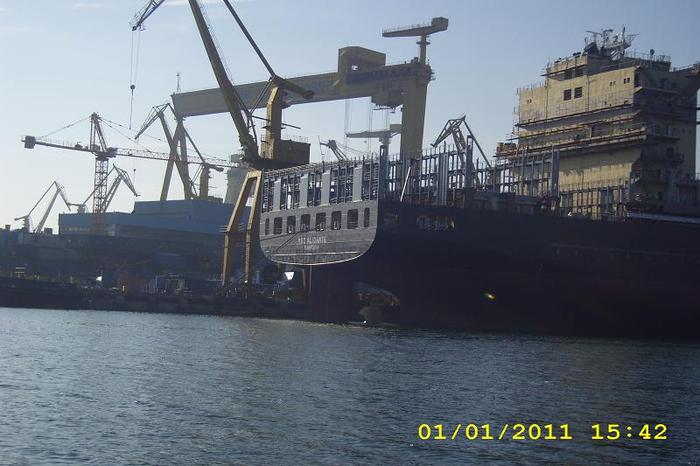 DSCI0636