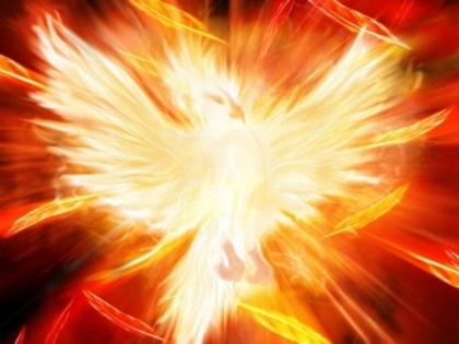 phoenix; Phoenix ardere. La sfârşitul ciclului său de viaţă Phoenix se construieşte un cuib de scorţişoară tw
