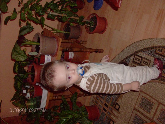 flavius fiul meu cu floricelele; flavius fiul meu si multe alte florii
