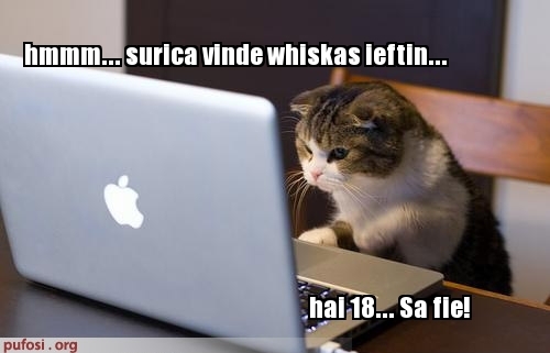 poze-amuzante-pisica-cumpara-whiskas[1]