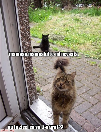 1882087304872[1] - animale