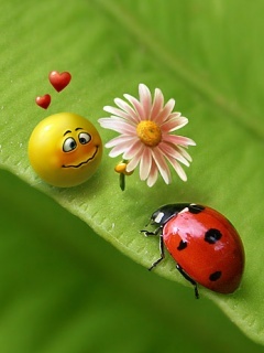 For_My_Ladybug - vara