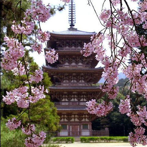 japonia 5 - 000japonia0000