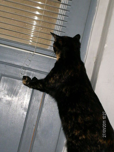  - mita _2011