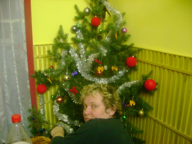 crenguta din bucatarie