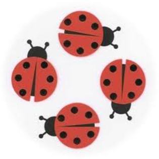 hj, - LadyBuG